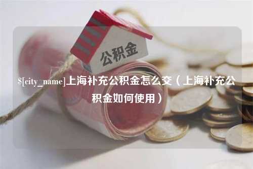 西安上海补充公积金怎么交（上海补充公积金如何使用）